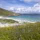 Vatersay, Outer Hebrides Colour Photo Greetings Card (LY)