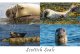 Scottish Seals Composite Postcard (H A6 LY)