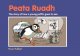Peata Ruadh: How a Young Puffin Goes to Sea