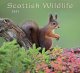 2021 Calendar Scottish Wildlife