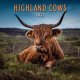2021 Calendar Highland Cows (Mar)