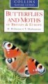 Collins Nature Guide - Butterflies and Moths