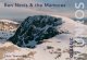 Ben Nevis & the Mamores - Classic Munros
