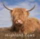 Highland Cow - Gift Book