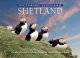 Picturing Scotland: Shetland