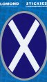 St Andrews X - Saltire Oval Silver Large Stickies